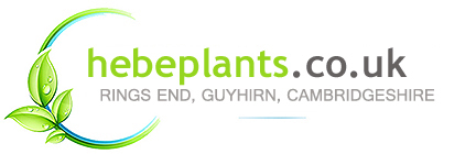 HebePlants Logo